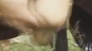 Horny Asian Amateur Couple's Outdoor Sex