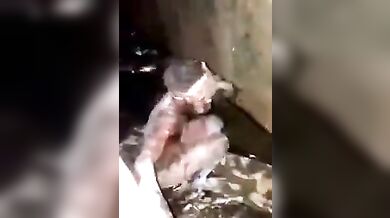 African naked witch wallowed in gutter