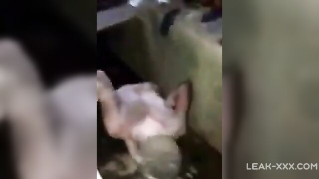 African naked witch wallowed in gutter - 5 image