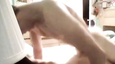 Sister has to be quiet as her Brother fucks her