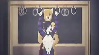 Furry Yiff Fox and Dog Rough Sex